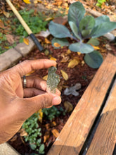 Load image into Gallery viewer, Angel Chime Moldavite