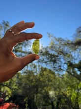 Load image into Gallery viewer, Moldavite Specimen
