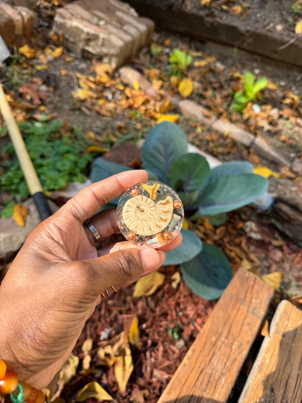 Perkimer Shark Tooth Ammonite Orgonite