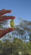 Load and play video in Gallery viewer, Moldavite Specimen
